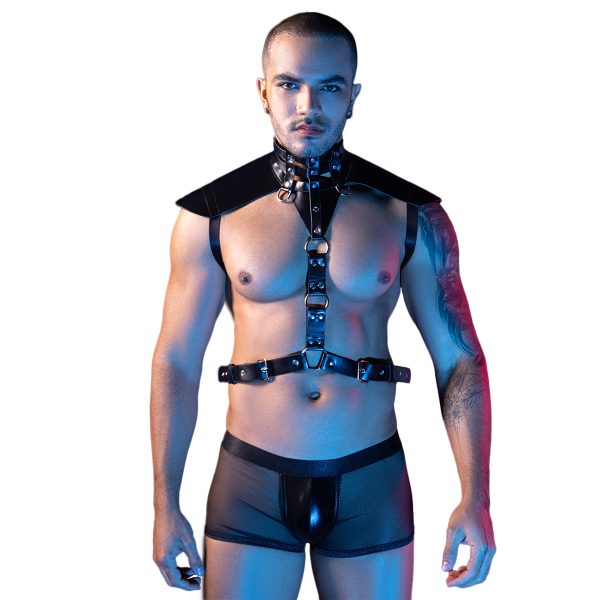 Dominant Leather Harness Set